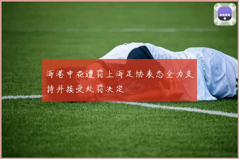 海港申花遭罚上海足协表态全力支持并接受处罚决定