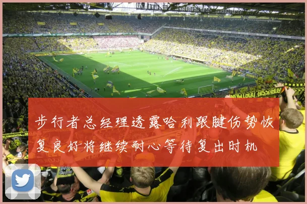 步行者总经理透露哈利跟腱伤势恢复良好将继续耐心等待复出时机